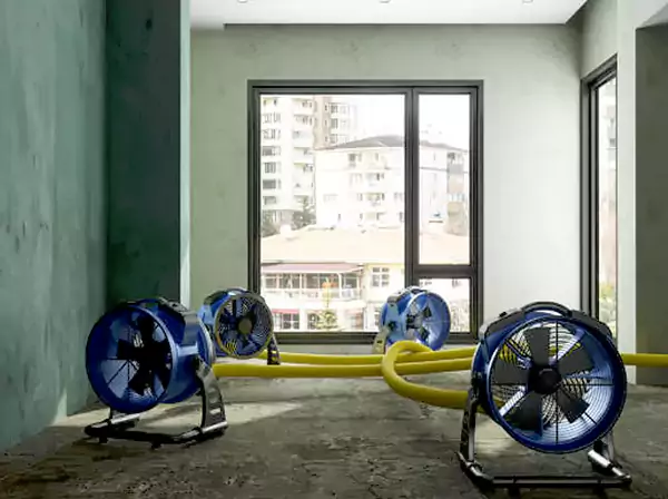 Water Removal Services in Commerce City