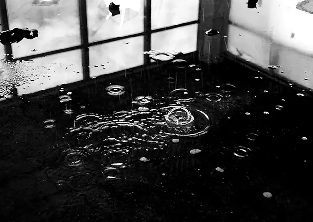Your Contaminated Water Removal Specialists in Commerce City, CO