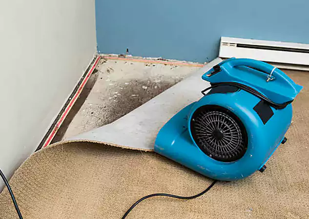 Your Water Damage Experts in Commerce City, CO