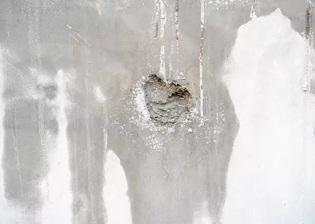Your Mold Mitigation Solutions Partner in Commerce City, CO