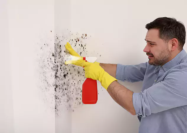 Your Water Mold Fire Restoration Partner in Commerce City, CO