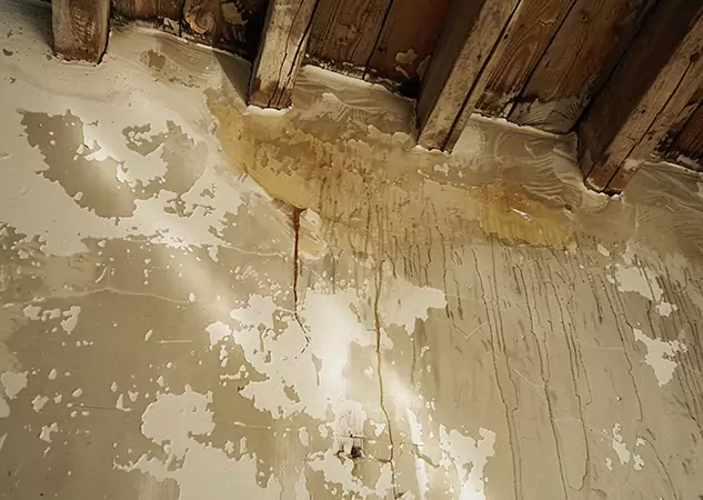 Your Trusted Restoration Company in Commerce City, CO