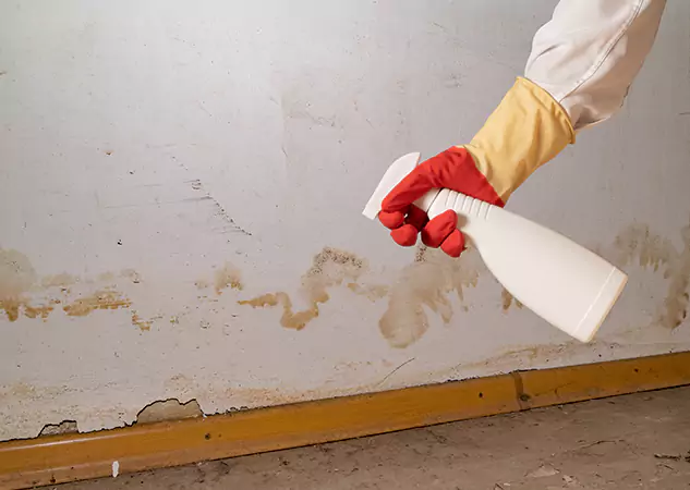 Your Water Restoration and Mold Remediation Specialists in Commerce City, CO