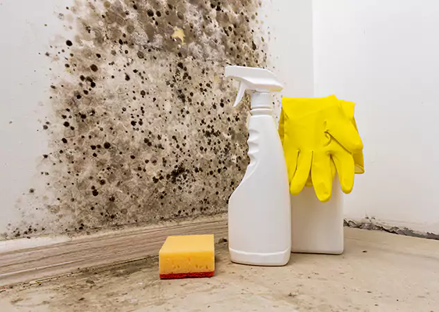 Your Reliable Restoration Company in Commerce City, CO