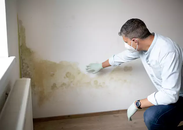 Reach Our Remediation Team Before Damage Grows in Commerce City, CO!