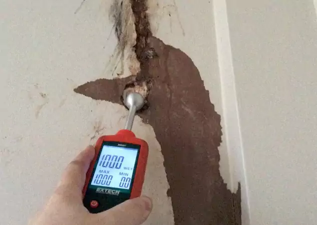 Your Water Damage Assessment Partner in Commerce City, CO
