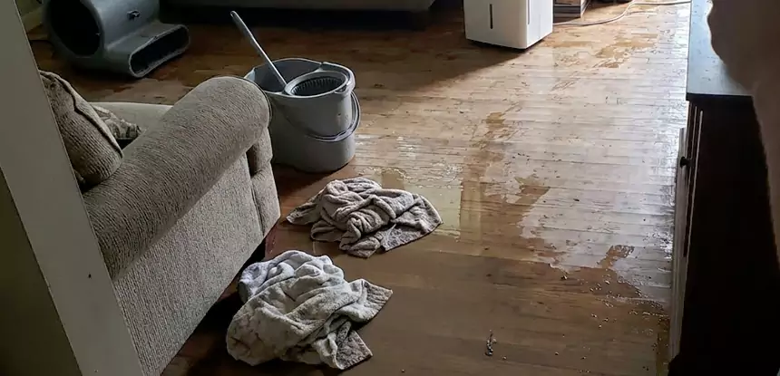 Professional Basement Water Remediation Services in Commerce City, CO