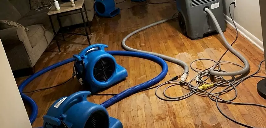 Basement Flood Restoration Services in Commerce City