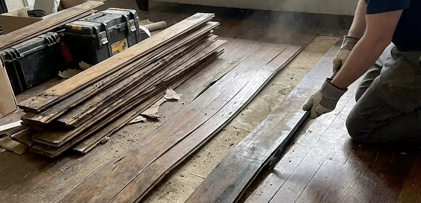 Wood Rot and Fungus Repair in Commerce City