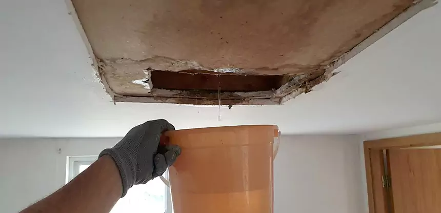 Ceiling Mold Repair Commerce City 