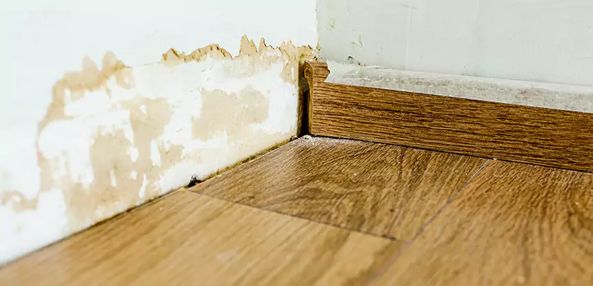 Professional Fix Water Damaged Wood Services in Commerce City, CO