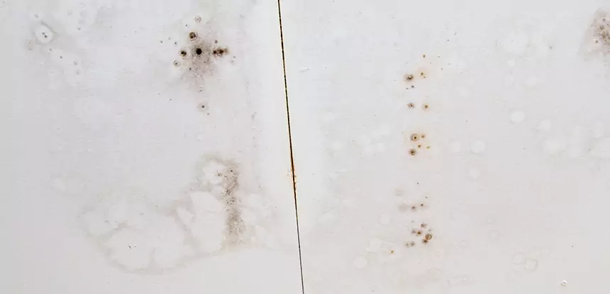 Professional Water Stain Repair Services in Commerce City, CO