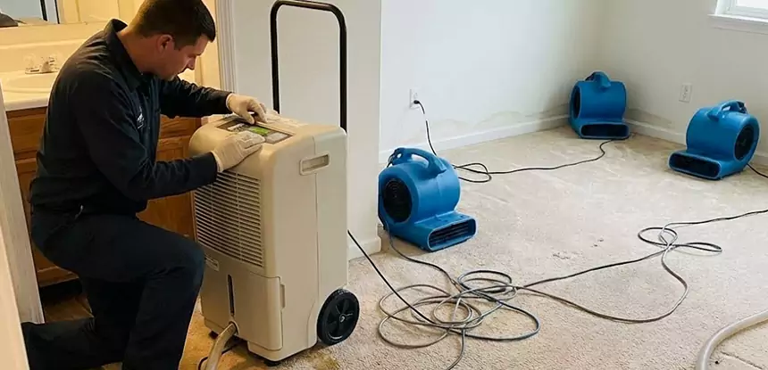 Professional Wet Carpet Removal Services in Commerce City, CO