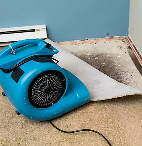 Why Commerce City Trusts Commerce City Restoration Pro for Carpet Flood Recovery?