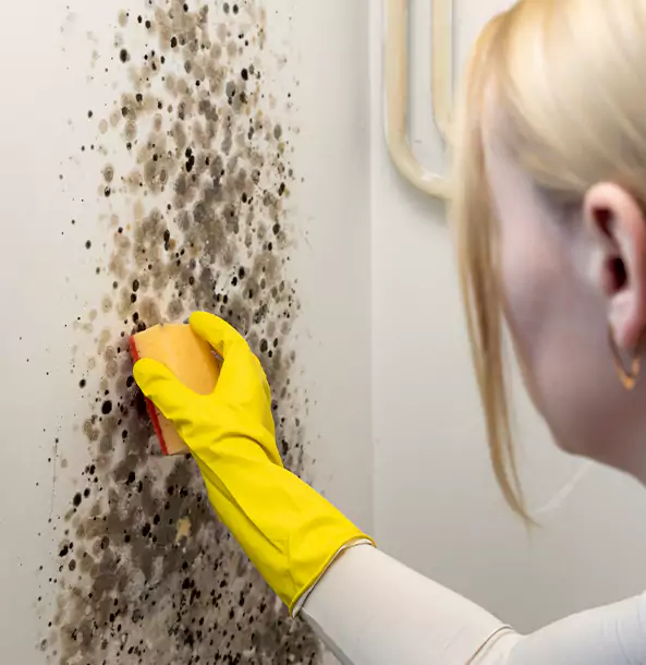 Why Commerce City Restoration Pro Leads Mold Remediation in Commerce City?