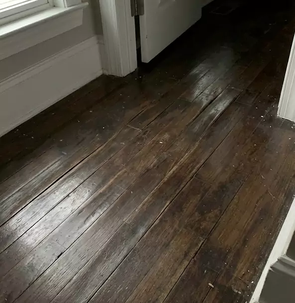 Why Commerce City Homeowners Trust Commerce City Restoration Pro to Fix Water Damaged Wood?