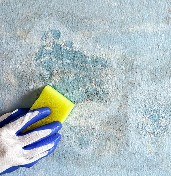 Why Commerce City Restoration Pro Is the Right Choice in Commerce City, CO?