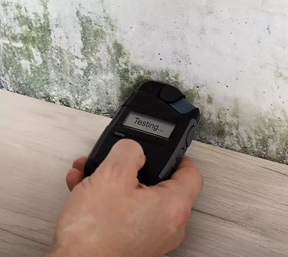 Mold Remediation Service Commerce City